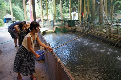子どもたち 初めてのマス釣り体験 愛知県犬山市 年子姉妹とたのしむ育児